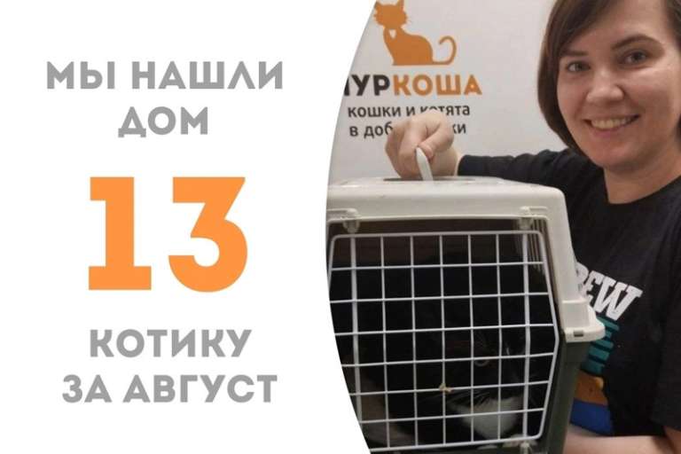 Эркюль нашёл своего человека!