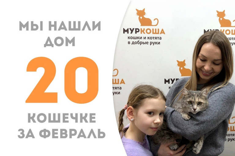 Кошечка Фиалка стала домашней любимицей!