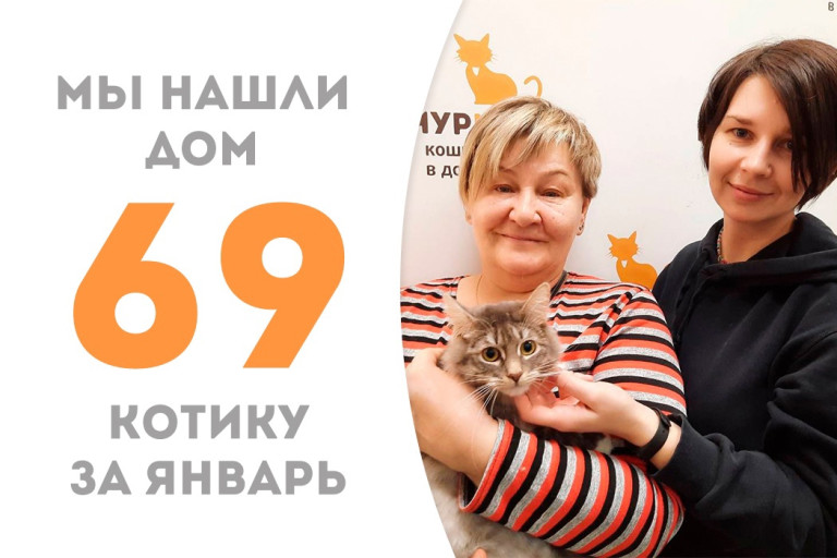 Десятимесячный котёнок Филипок теперь домашний котофей!