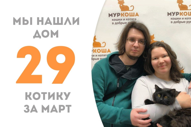 Девятимесячный котенок Филон дома!
