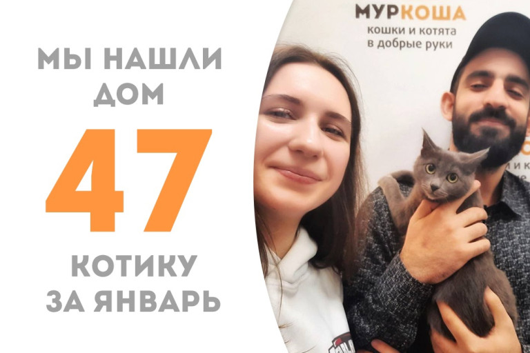 Котик Флавер за два с половиной месяца в приюте стал домашним!