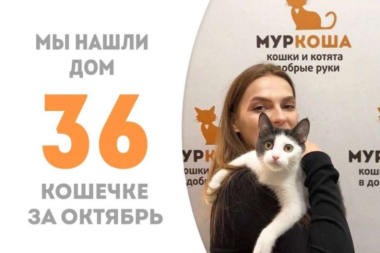 Около 3 месяцев понадобилось Флэнни, чтобы стать домашней!