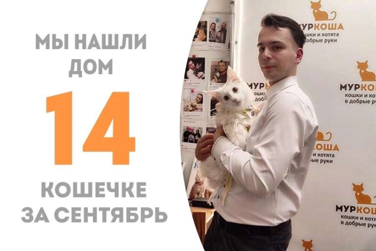 Меньше месяца понадобилось Фуджи, чтобы стать домашней!