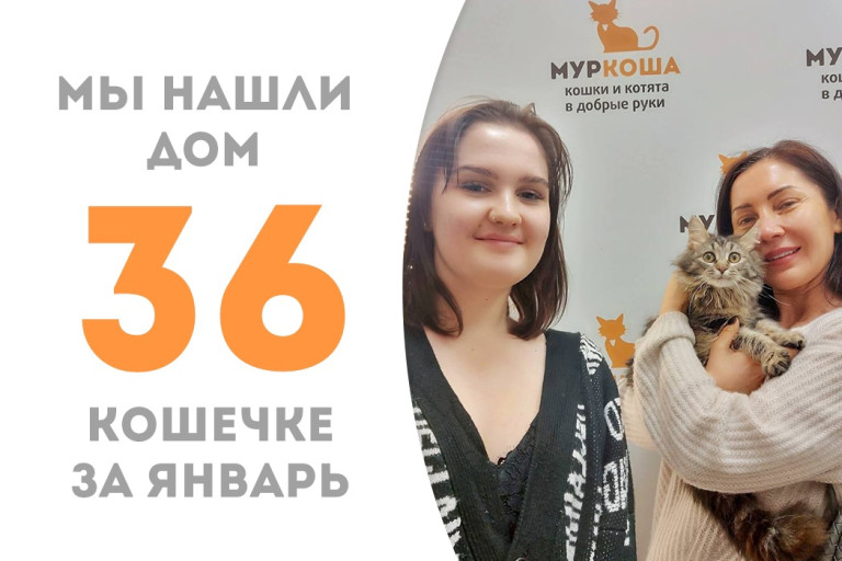 Кошечка Фуфушка, пробыв два месяца в приюте, встретила своих людей и уехала домой!