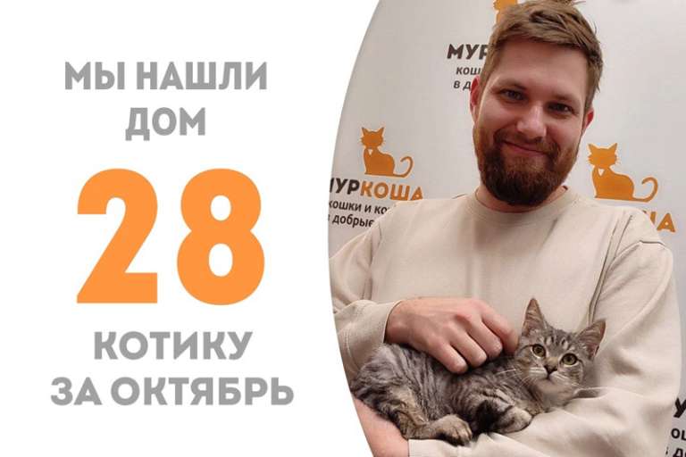 Гейминг, играючи, обрел дом всего за два месяца!