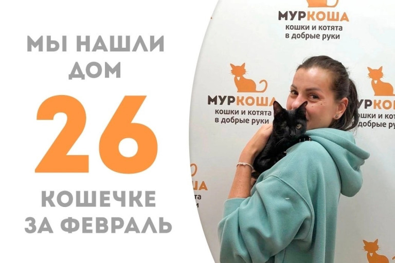 Кошечка Гольяночка отправилась домой!