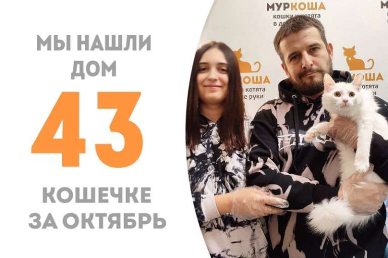 Гортензия встретила свою семью всего лишь за один месяц!