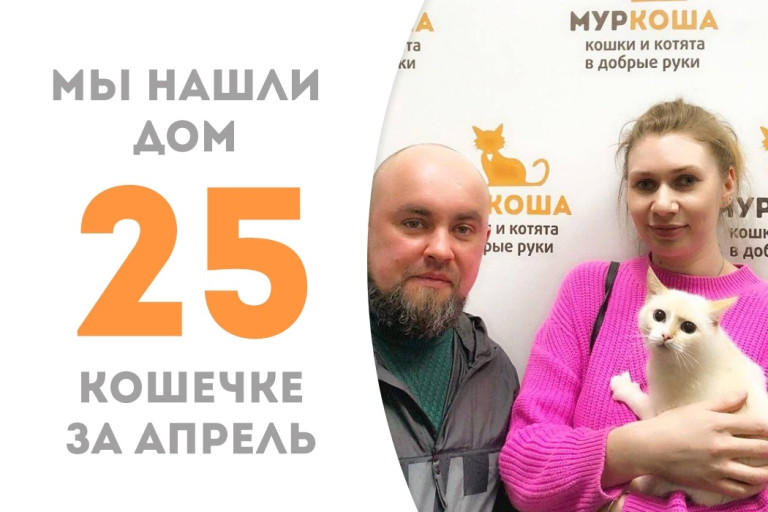 Кошечка Гояс стала домашней!