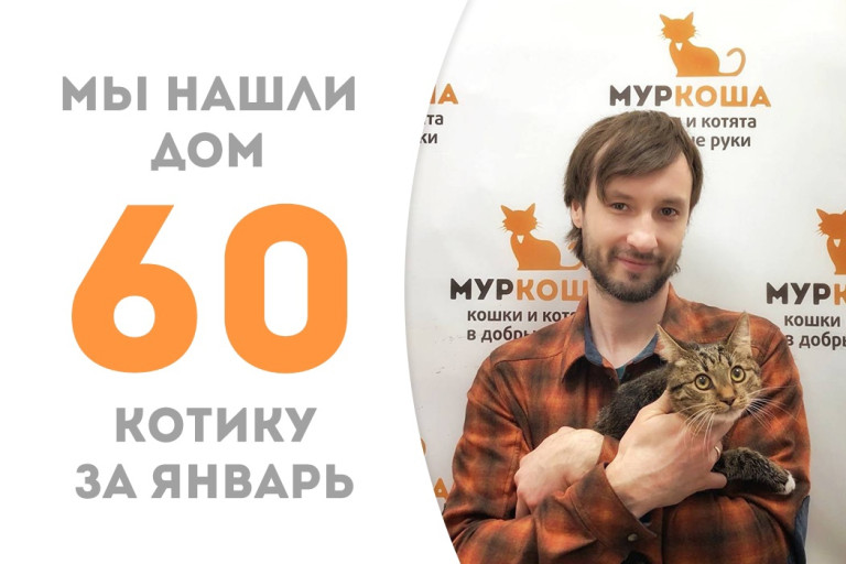 Котёнок Графс познакомился с будущим хозяином и с радостью уехал домой!