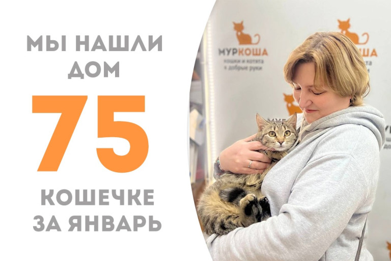 Очаровательная кошечка Грунька уезжает домой, проведя полтора месяца в приюте!