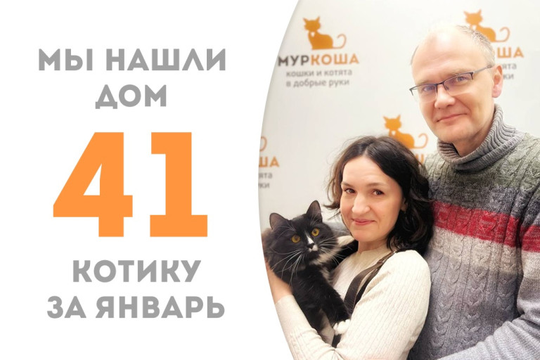Десятимесячный котик по имени Губкин дождался своих людей и уехал домой!