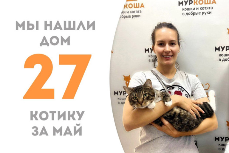 Гудини всего за два месяца стал домашним и отправился в семью, где его с нетерпением ждёт наш выпускник Ласло!