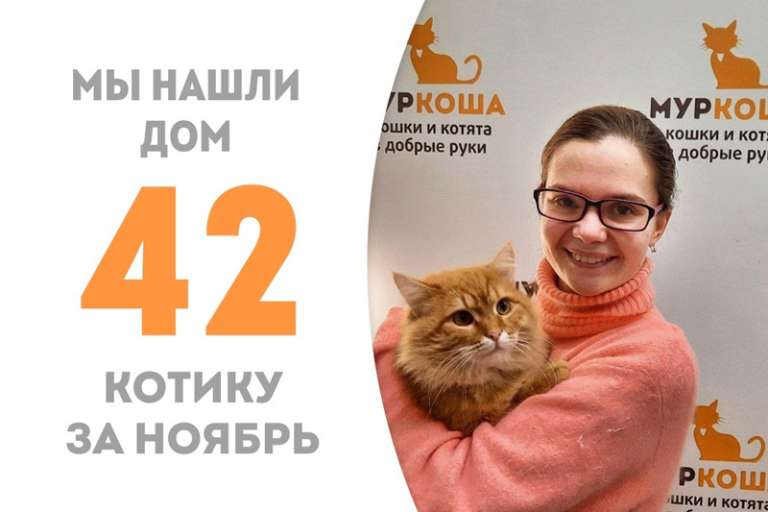 Ирвел стал домашним!
