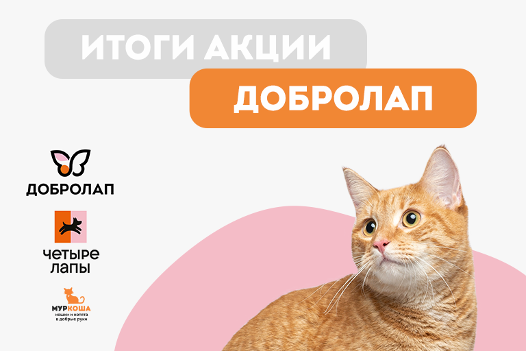 Спасибо за ваше участие в 14-й благотворительной акции "Добролап"!