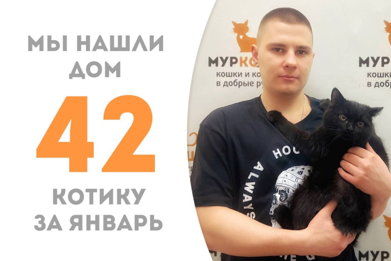 Годовалый котик Кабальеро пробыл менее двух месяцев в приюте и стал домашним!