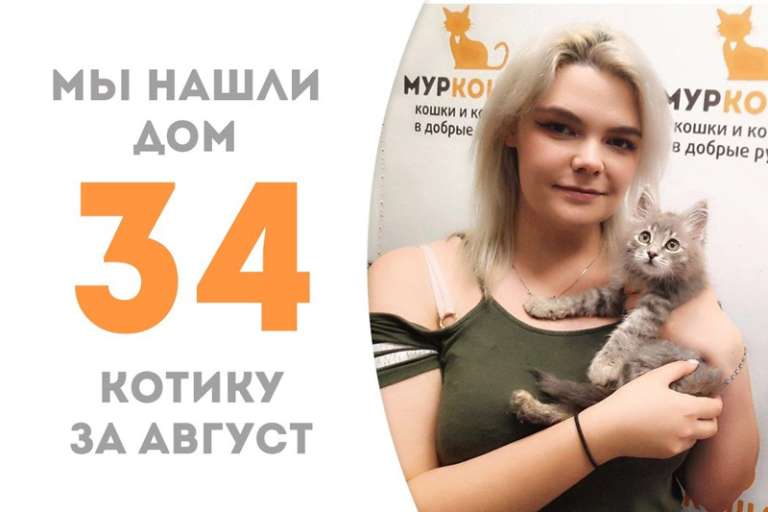 Меньше месяца понадобилось Канеки, чтобы обрести семью!