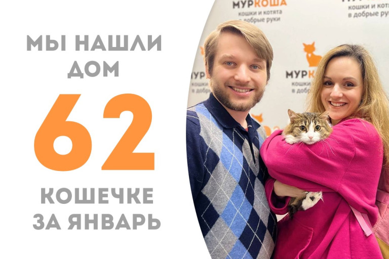 Кошечка Карамелькина стала домашней и любимой сдобушкой!