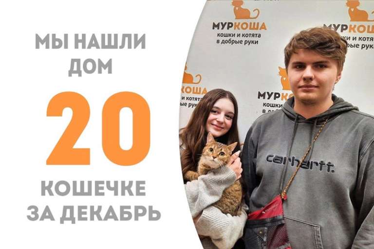 3,5 месяца понадобилось милой Касюне, чтобы встретить свою семью!