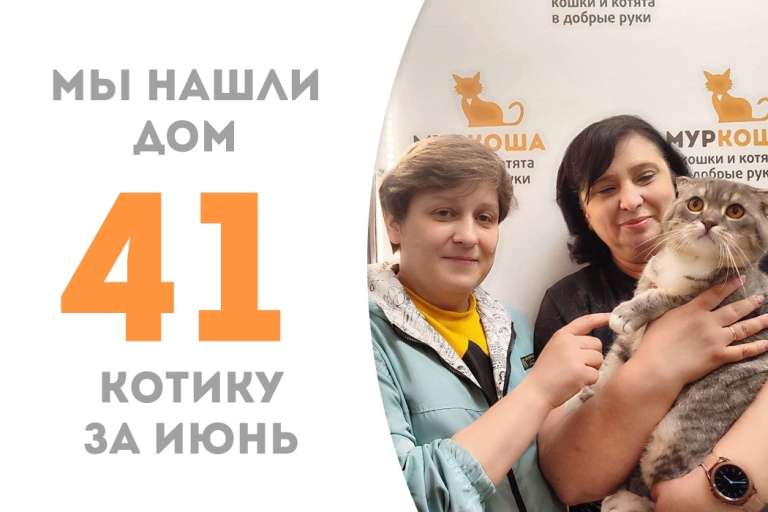 Кеша обрел дом и семью!