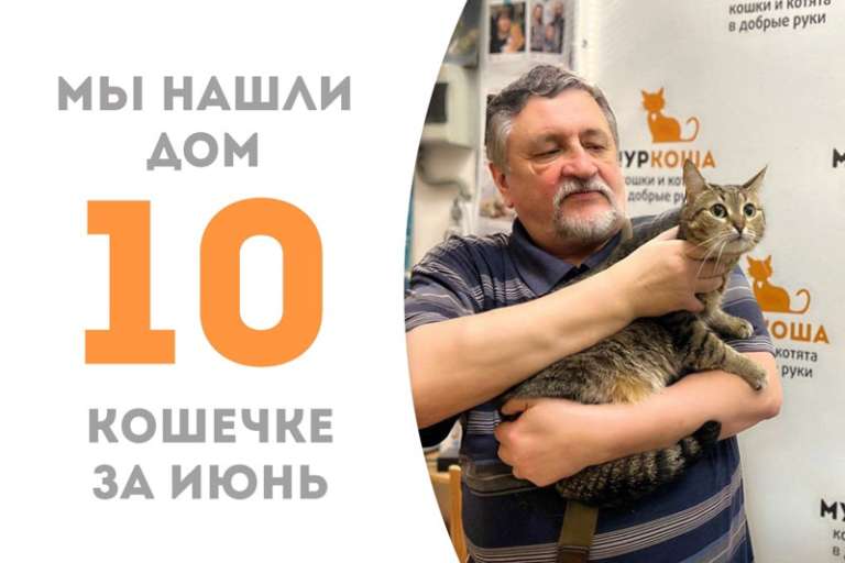 Халвунья снова стала домашней!