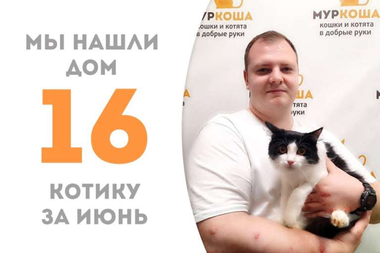 Котик Хикари встретил своего человека всего за два месяца!