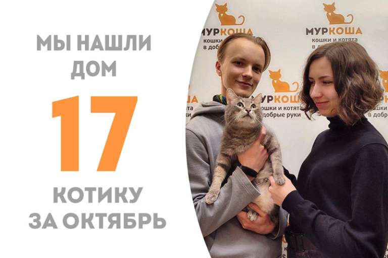 Хокинг стал по-настоящему домашним!