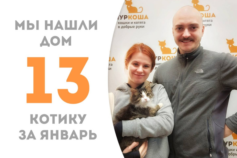 Котёнок Холсик накануне Рождества нашёл свою семью и дом, проведя менее двух месяцев в приюте!