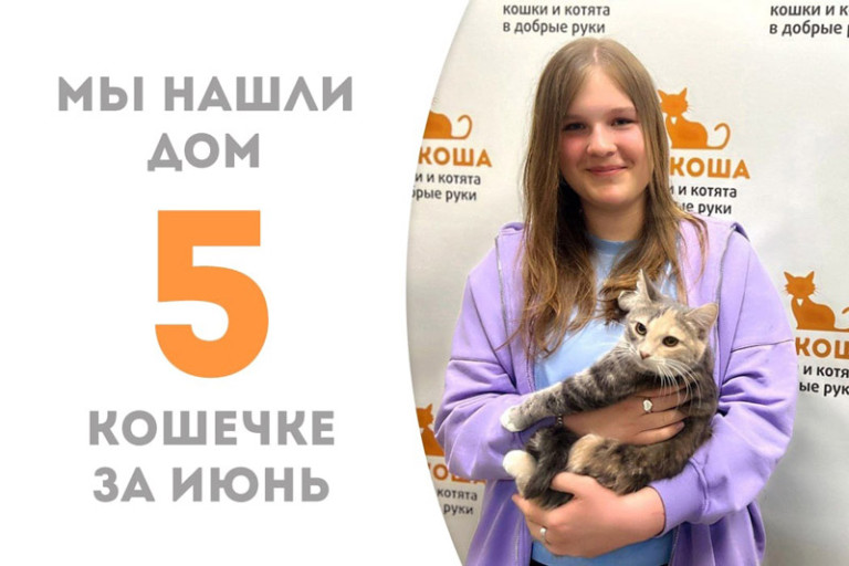 Кошечка Кинса встретила добрую хозяйку и стала домашней!