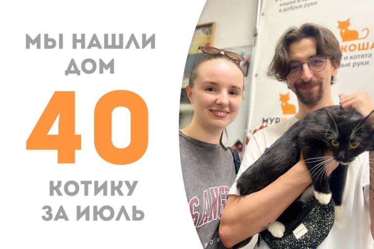 Кирби встретил чудесную семью и уезжает с ними, чтобы создавать уют и радовать глаз своих любимых хозяев!