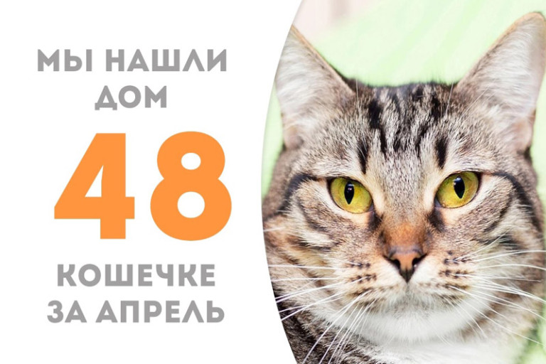 Трехлетняя Киза обрела семью!