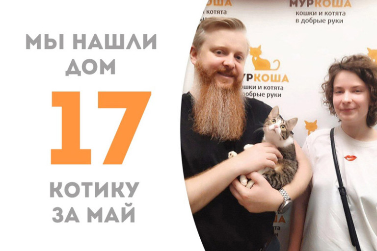 Котик Клинт начинает счастливую жизнь дома!