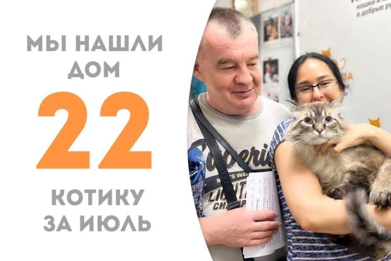 Не прошло и двух недель как Князь Болконский обрёл дом и семью!