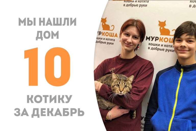 Компотик дождался свою семью!