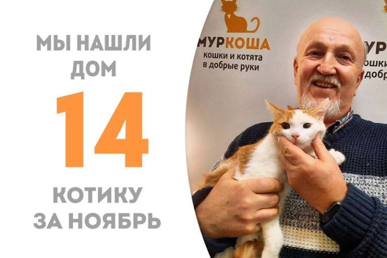 Кот Учёный за три с небольшим месяца становится домашним!