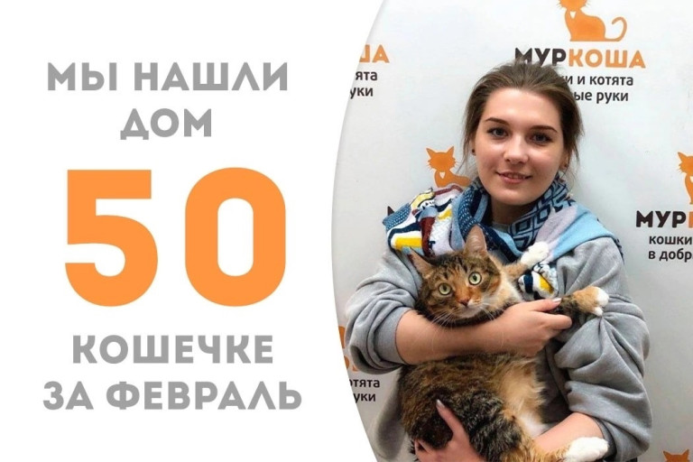 Уехала домой трёхцветная кошка Ксара! | Новости приюта для кошек Муркоша