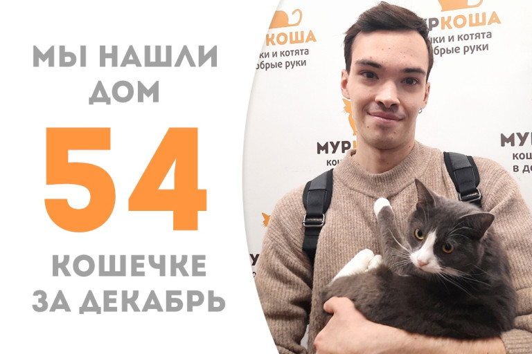 Годовалая Кукушка под самый Новый год дождалась своего человека!