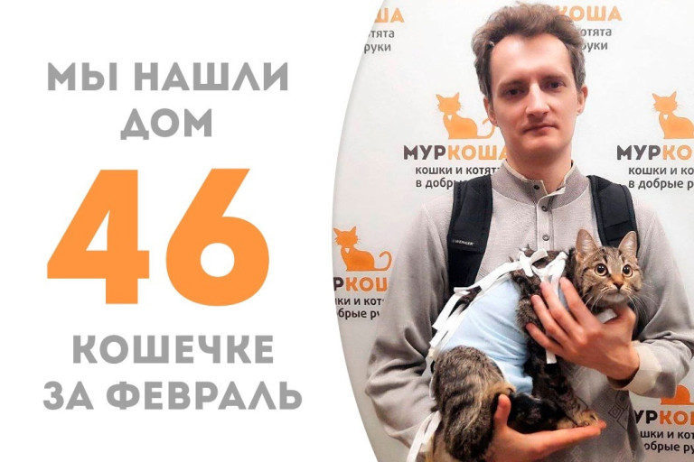 Кошечка Кутерьма отправилась в новый дом!