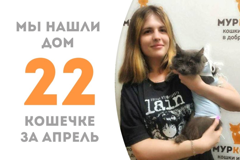 У кошечки Лафонтены появилась чудесная хозяйка!