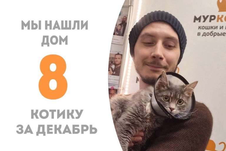 3,5 месяца - и Лайт дома!