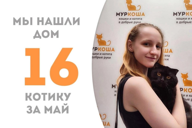 Спустя два месяца свой дом обрёл котик Лексус!
