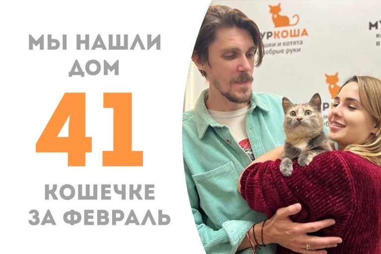 Кошка Лилибридж уехала домой!
