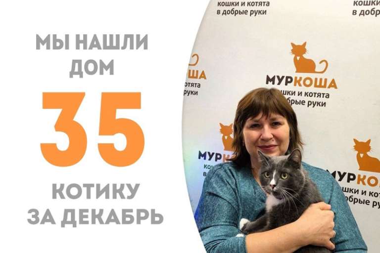 Лимпопоша уселся на ручках поудобнее и отправился домой встречать праздники!