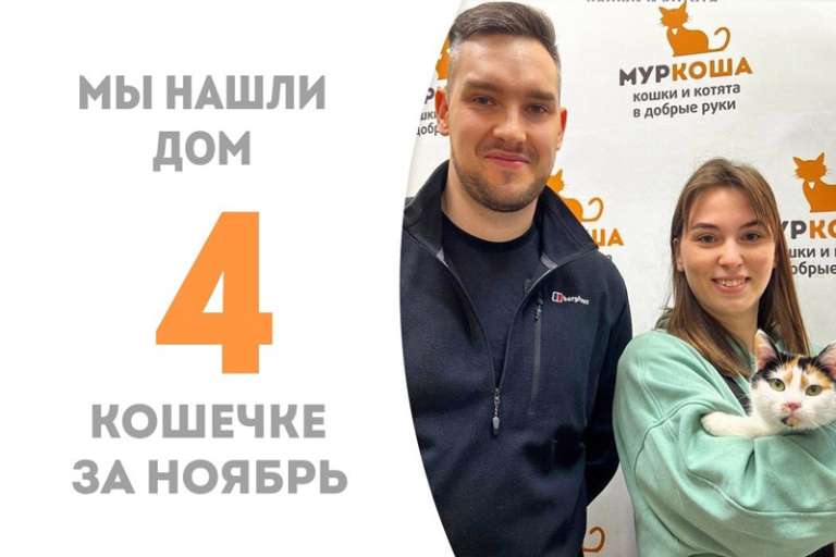 Лисёна обрела семью!