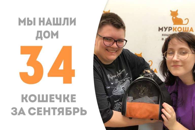 Лонда стала домашней!
