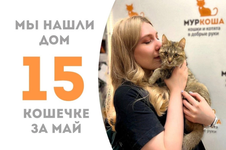 Красавица Лопотуша стала домашней всего за два месяца!
