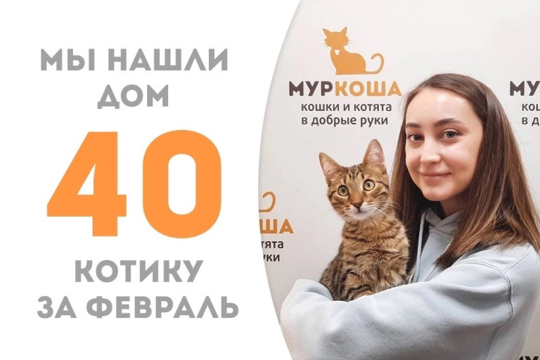 Котёнок Лоян стал домашним за два месяца!
