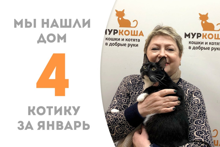 Двухлетний котик Люксор встретил своё домашнее счастье в новогодние праздники!