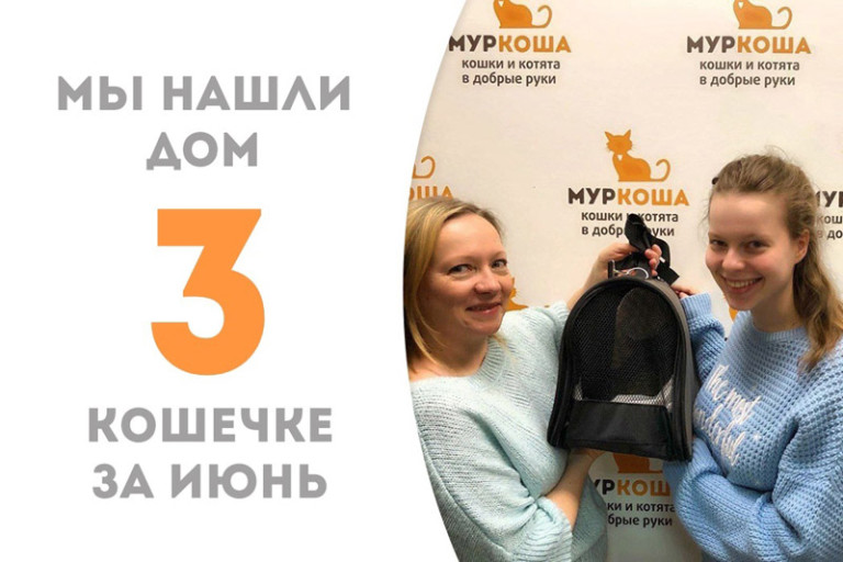 Кошечка Люся стала домашней любимицей!