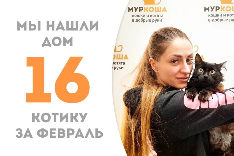 Котик Малышун встретил прекрасную хозяйку!