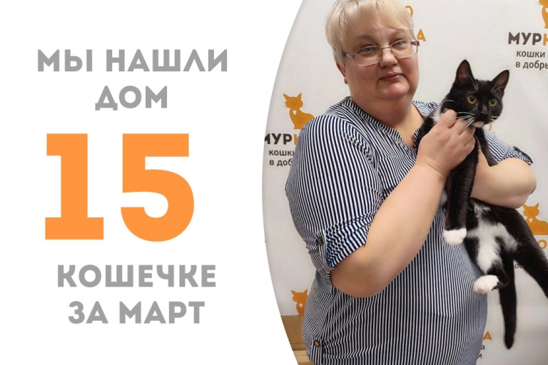 Полуторагодовалая кошечка Мамука стала домашней!
